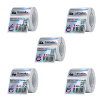 Etiquetas Rollo Rotuladora Impresora Termica 40x30mm Plateadas X5u